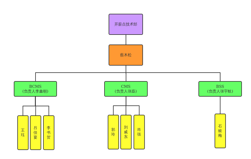 开薪点技术部组织架构