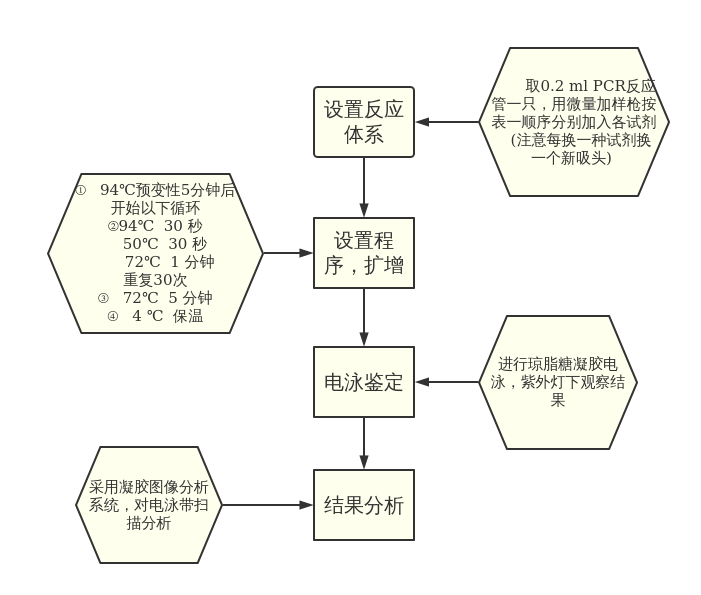 pcr | processon免费在线作图,在线流程图,在线思维导图