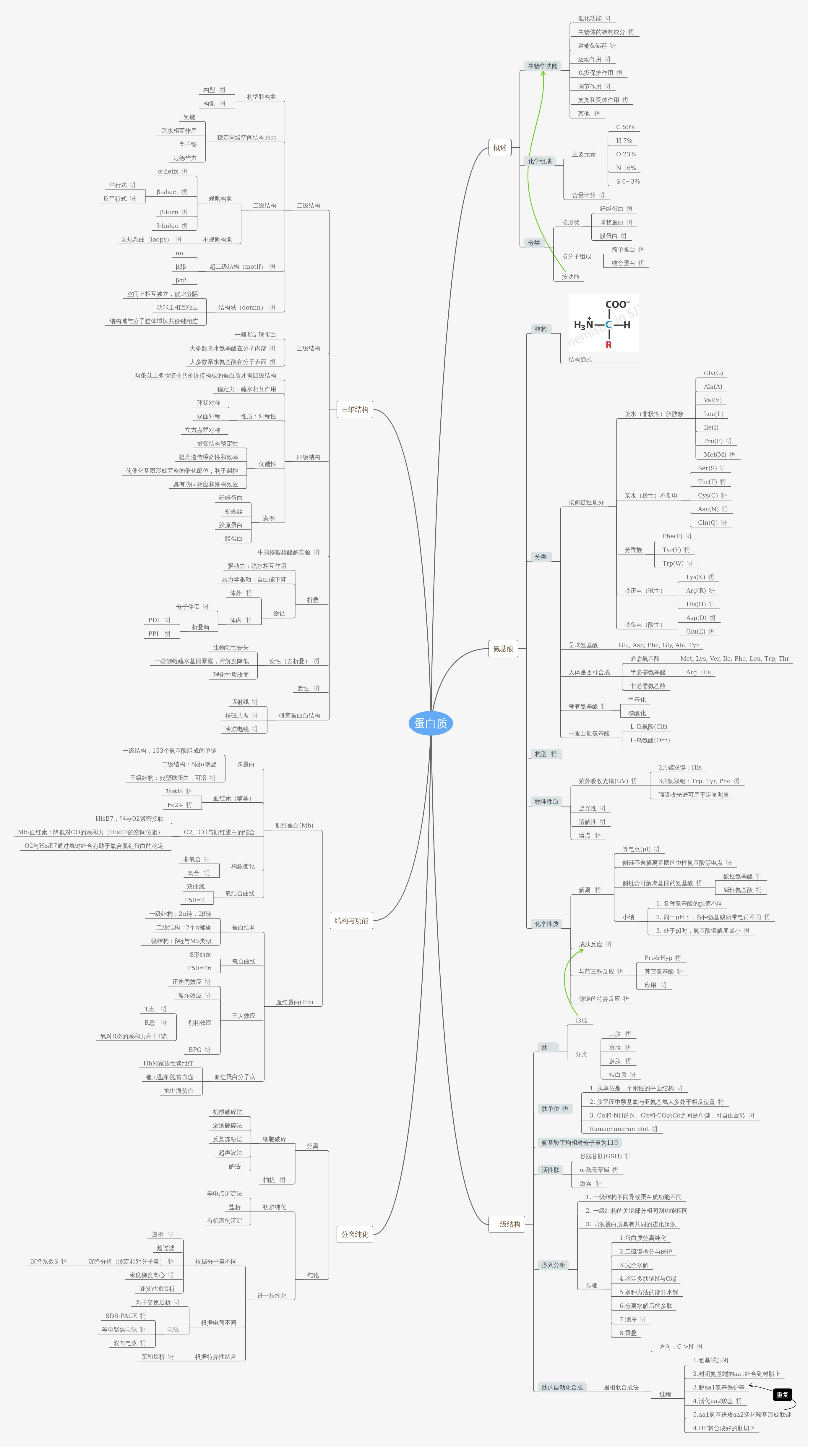 蛋白质 | processon免费在线作图,在线流程图,在线思维导图